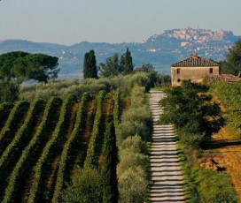 A Look At The Wine Cellar - Boscarelli 